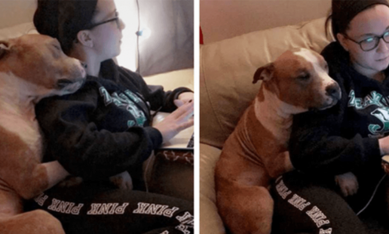 A Woman Adopted A Pit Bull, And Their First Photo Took Over The Internet