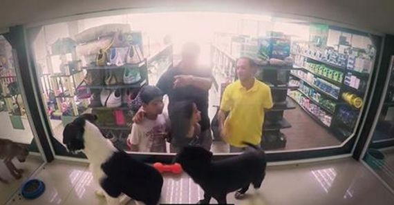 A pet shop changed all of its animals with rescues for just one day