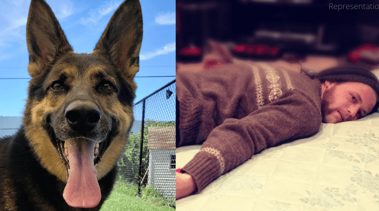 A quick thinking dog rescues his owner's life who got stroke and fell down on the floor of their house