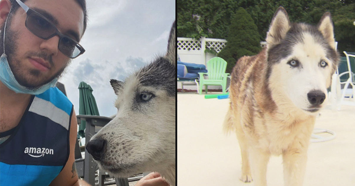 Amazon Driver Sees A Snout Sticking Out Of Pool While On Delivery, Saves A Life