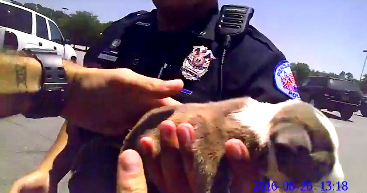 Bodycam Shows Policeman Smash A Window To Save A Puppy Left In Hot Vehicle