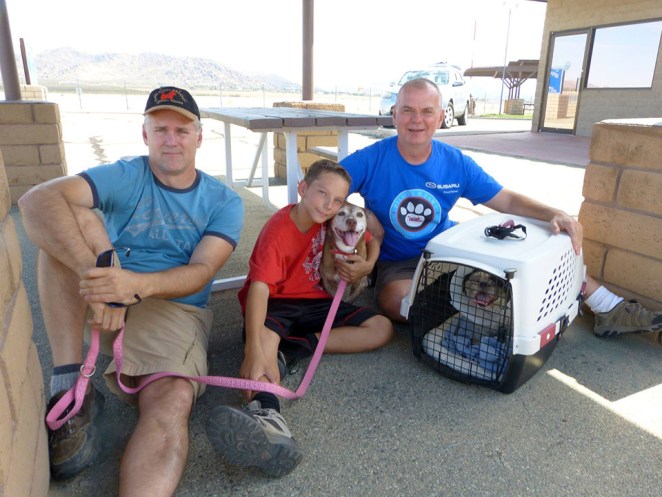 Deaf Dog Who Lived On The Streets For 11 Years Is So Glad To Lastly Have A Family