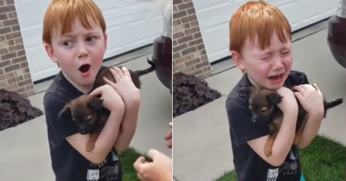 Grandmother Adopts A Pup For Her Grand Son Who Was Saving Up To Purchase One