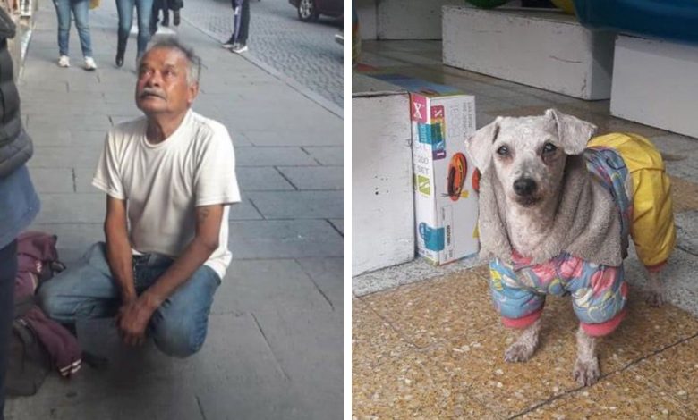 Homeless Man Who Sells Gum To Feed His Dog Cries When His Puppy Got Stolen