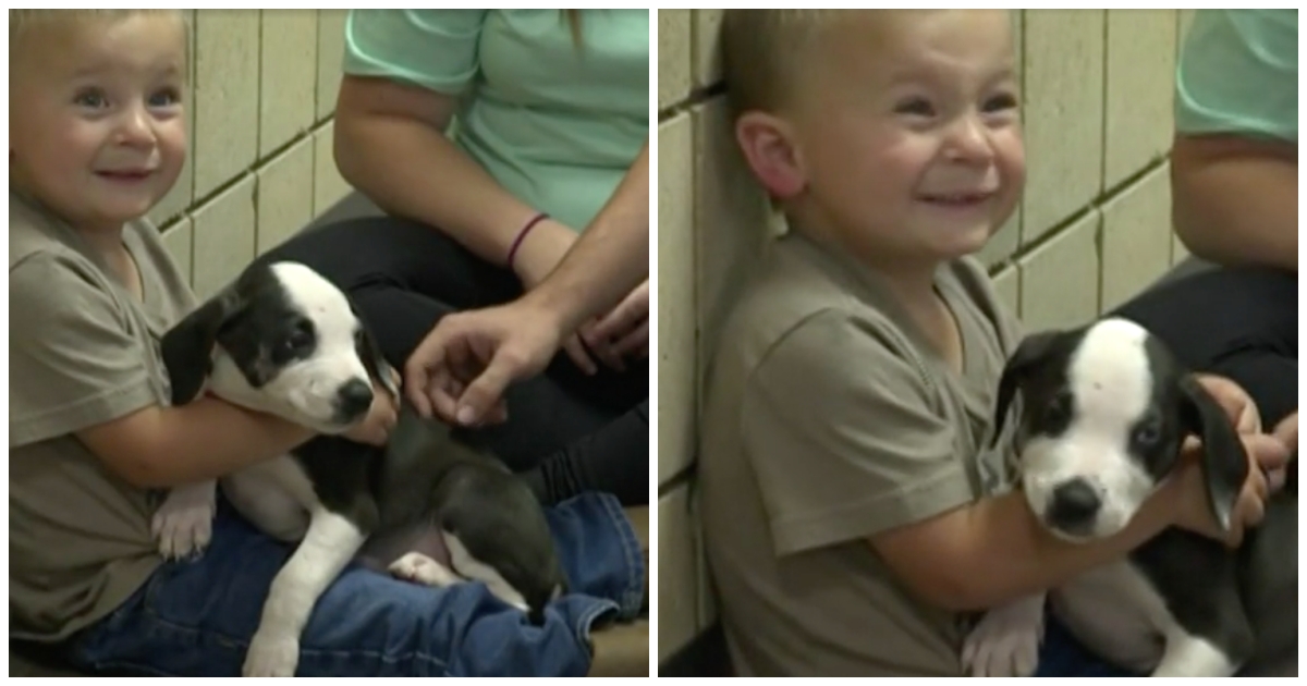 Little Boy's Family Adopts Sanctuary Puppy With The Same Birth Defect As Their Son