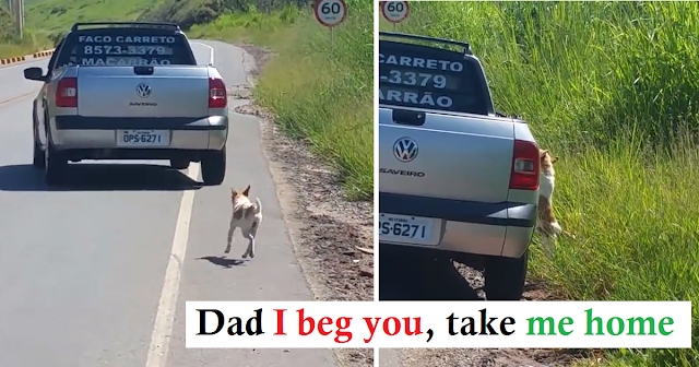 Man Is So Moved By Viral Video Clip Of Dog Being Dumped That He Goes Looking And Saves Him