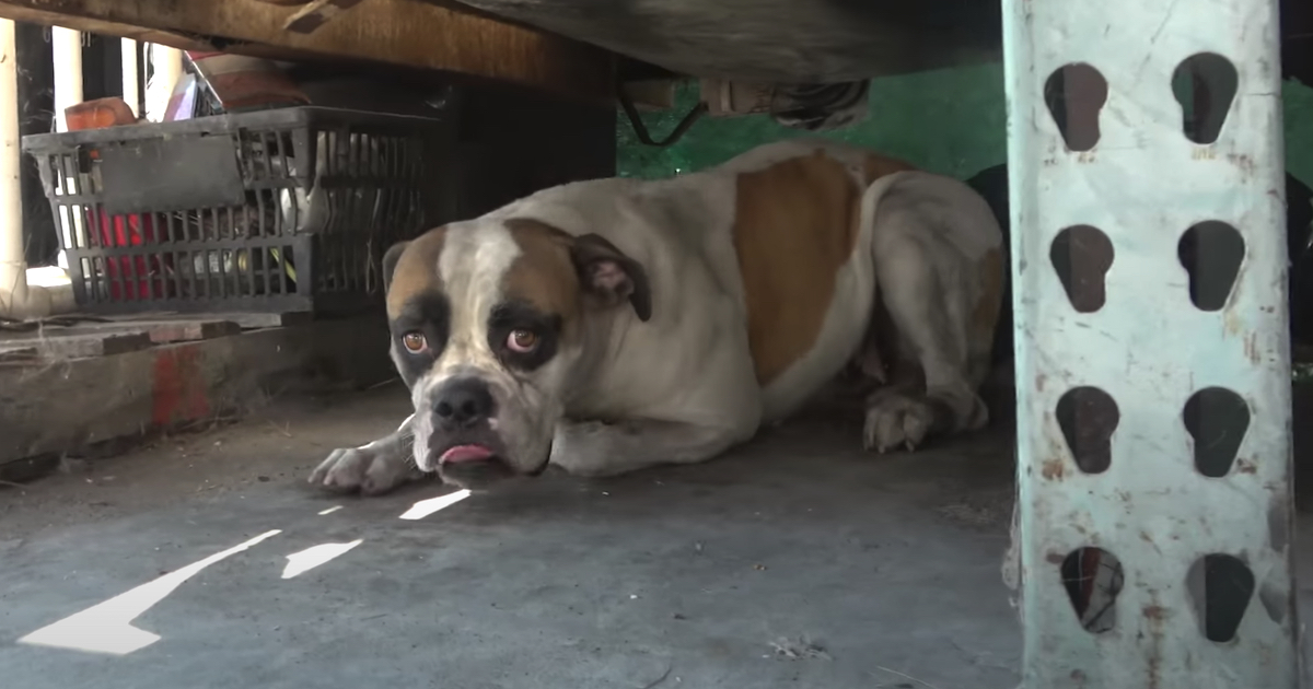 She Was Left Behind Covered In Oil At An Auto Shop After The Proprietor Left