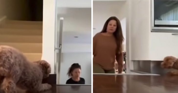 Sneaky Dog Always Terrifies Mother, Changes Sides To Catch Her Off Guard