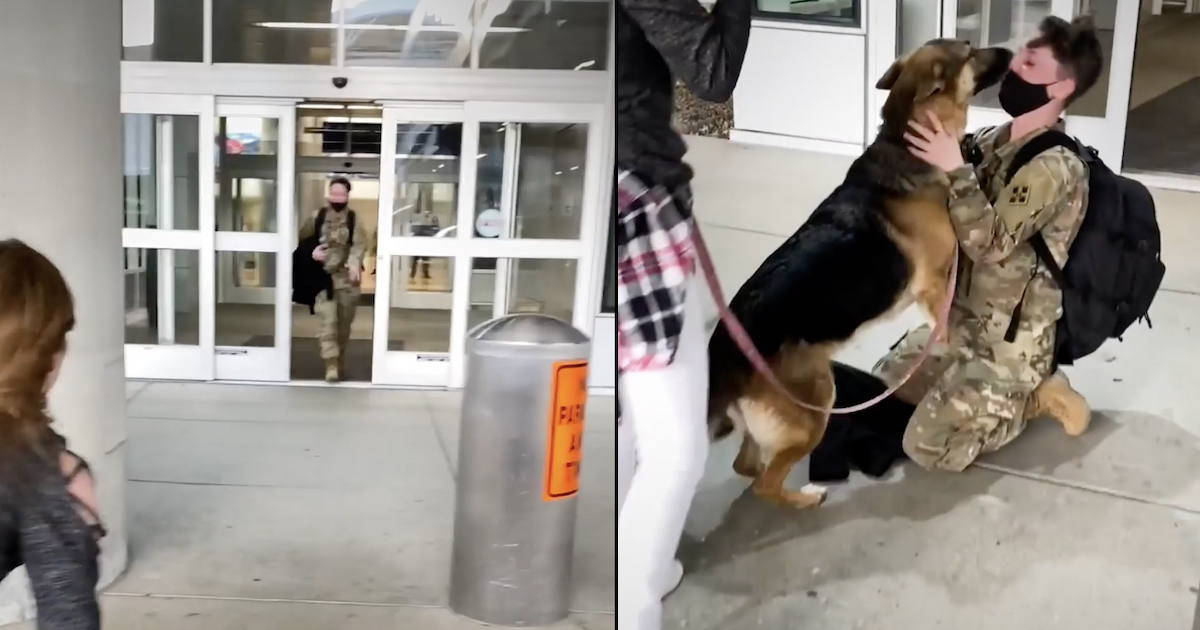 Soldier Goes out Of The Airport To The Dog She Hasn't Seen In So Long