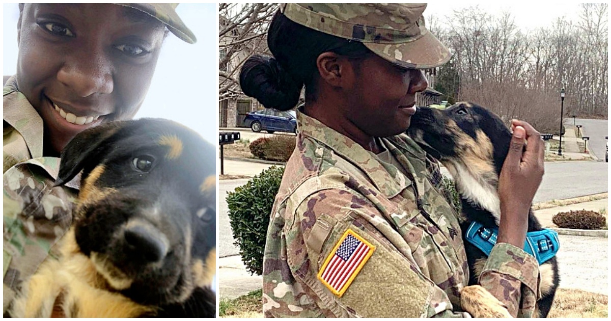 Soldier Rejoins With Puppy She Saved From Dog-Catchers While Overseas