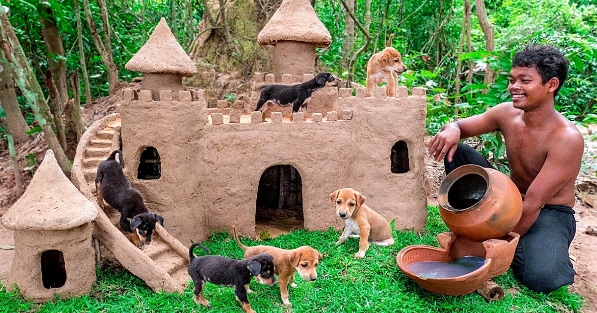 Thailand Man Saves Abandoned Puppies & Builds Castles For Them To Live In