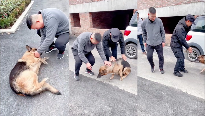 The Retired Police Dog Appears To Cry Tears Of Joy When She Is Reunited With Her Trainer