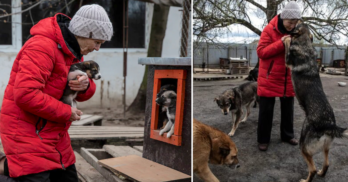 Ukrainian Lady Risks Her Life To Secure Over 700 Animals, Including A Lion!