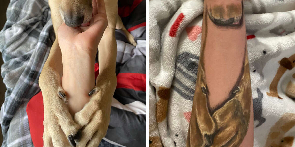 Woman Gets The Sweetest Tattoo In Memory Of Her Beloved Dog