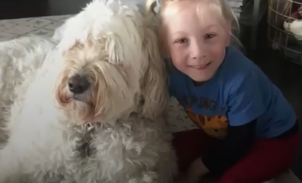 Dog Revels In Watching Her Human Sister Walk For The First Time