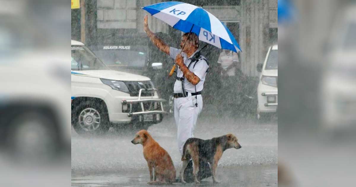 police officer share umbrellas homeless dogs